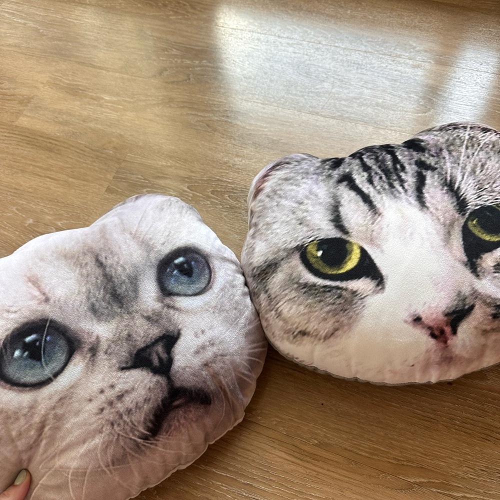 Taylor Swift Meredith & Olivia Pillows Original Merch (Rep Era)